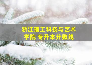 浙江理工科技与艺术学院 专升本分数线